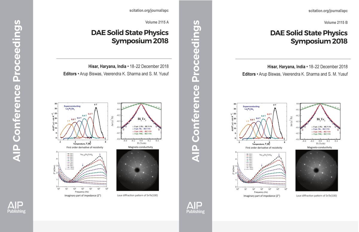 Cover of Volume 2115: 63rd DAE Solid State Physics Symposium