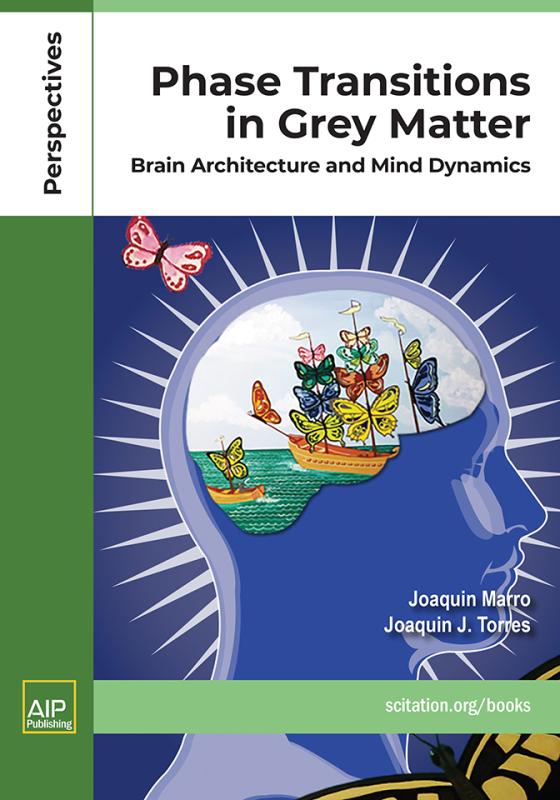 Cover of Phase Transitions in Grey Matter