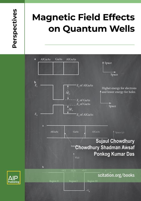 Cover of Magnetic Field Effects on Quantum Wells